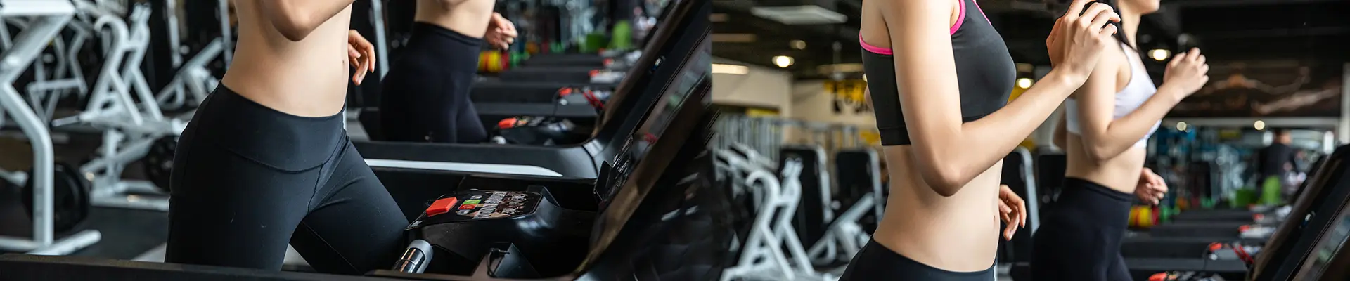 Fixed Barbell storage Rack